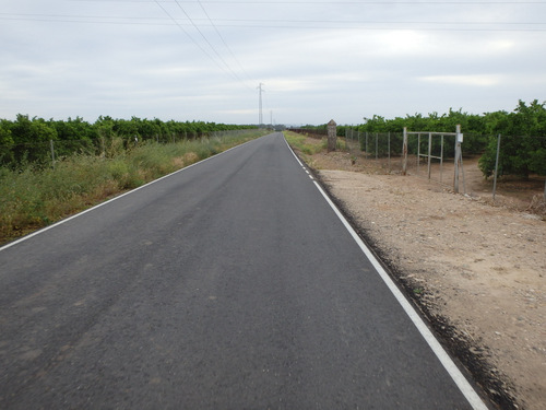 Many kilometers of Orange Groves.